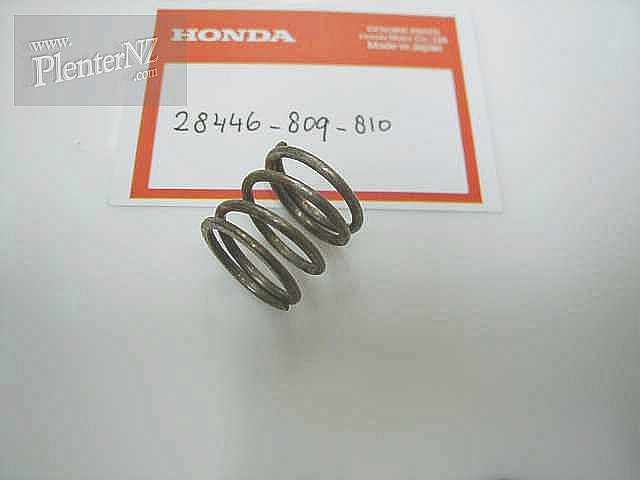 28446-809-810 - SPRING, FRICTION