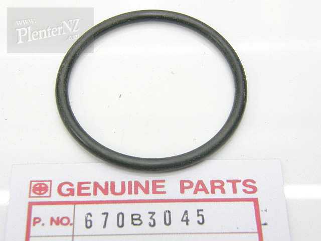 670B3045 - O-RING